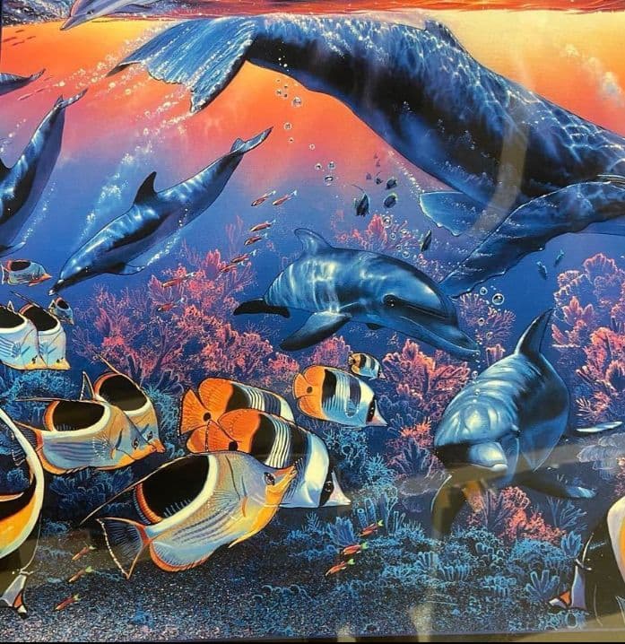 LASSEN (中古品) LAHAINA VISION 額付き