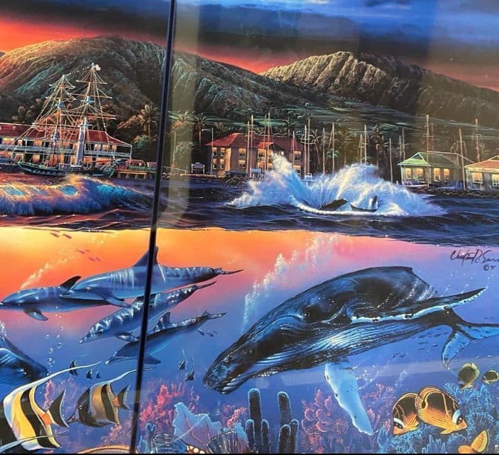 LASSEN (中古品) LAHAINA VISION 額付き