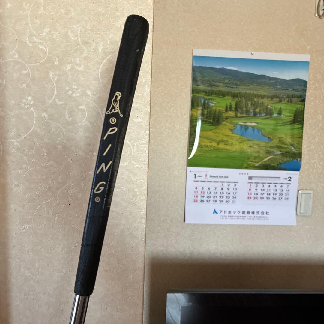 PING ANSER パター