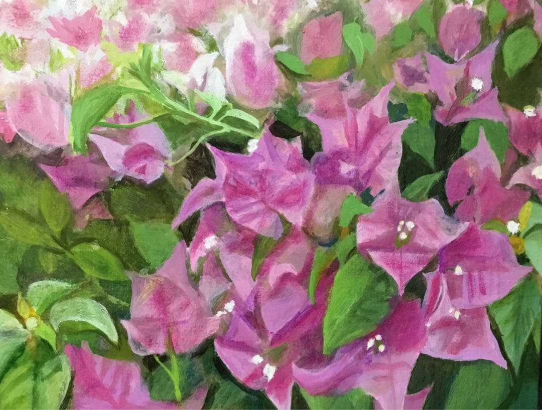 油絵「ブーゲンビリア」F6号