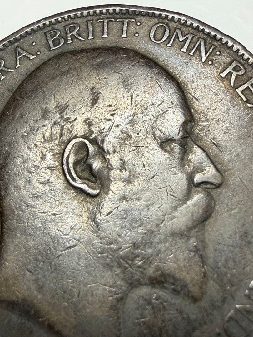 コレクション COLLECTION-21