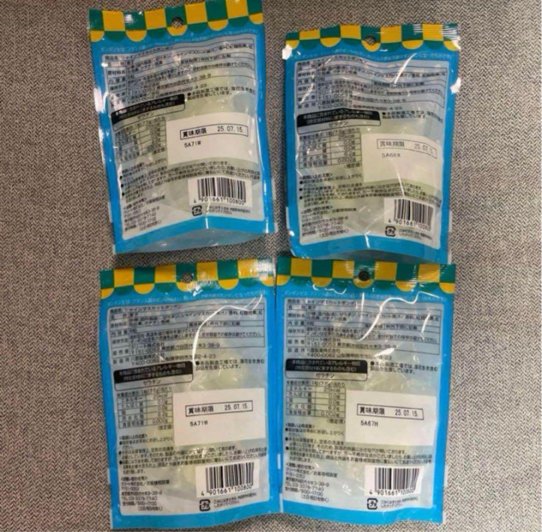 シャインマスカット ボンボン 4袋