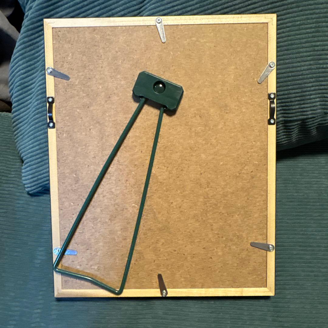 ゴールデンカムイ展 全巻 表紙ピンズ セット ゴールデンカムイ　額装付き