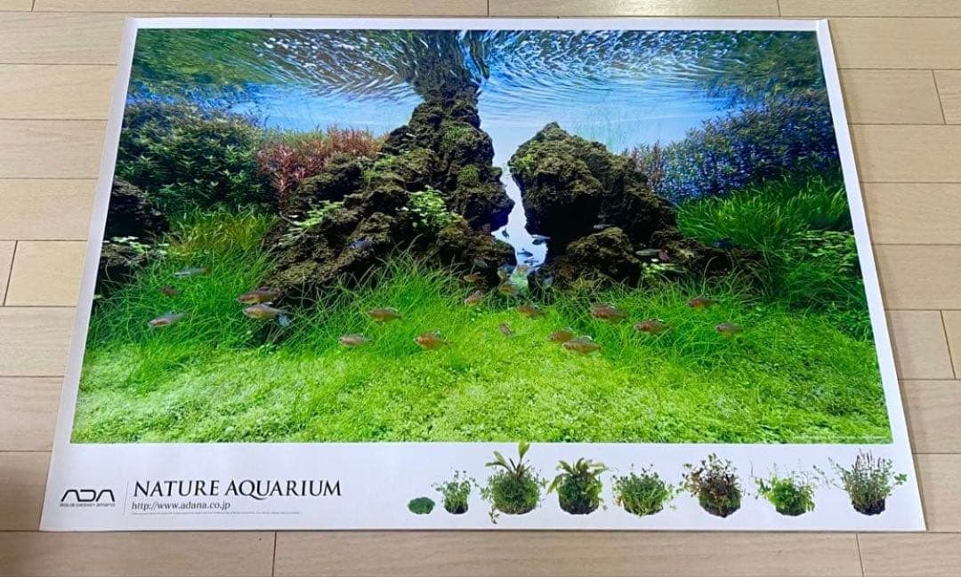 【入手困難】ADA 非売品ポスター2枚セット　龍王石/雲山石