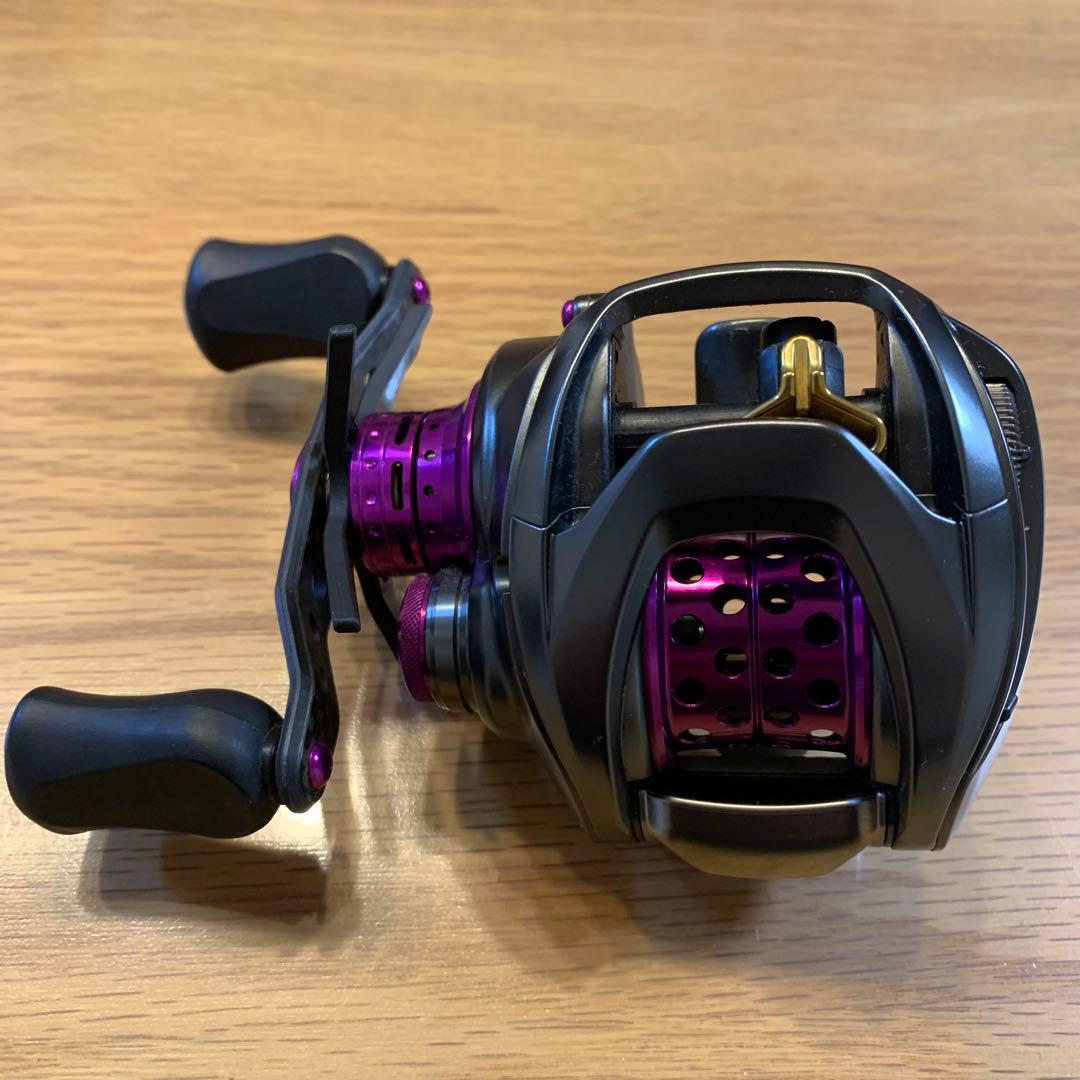 DAIWA STEEZ SVTW1012SV-XHL KTFカスタム