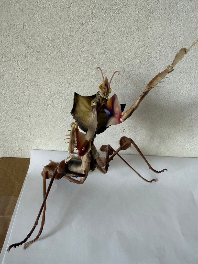 シ*ン様 いきもの大図鑑アドバンス　ニセハナマオウカマキリコンプリート