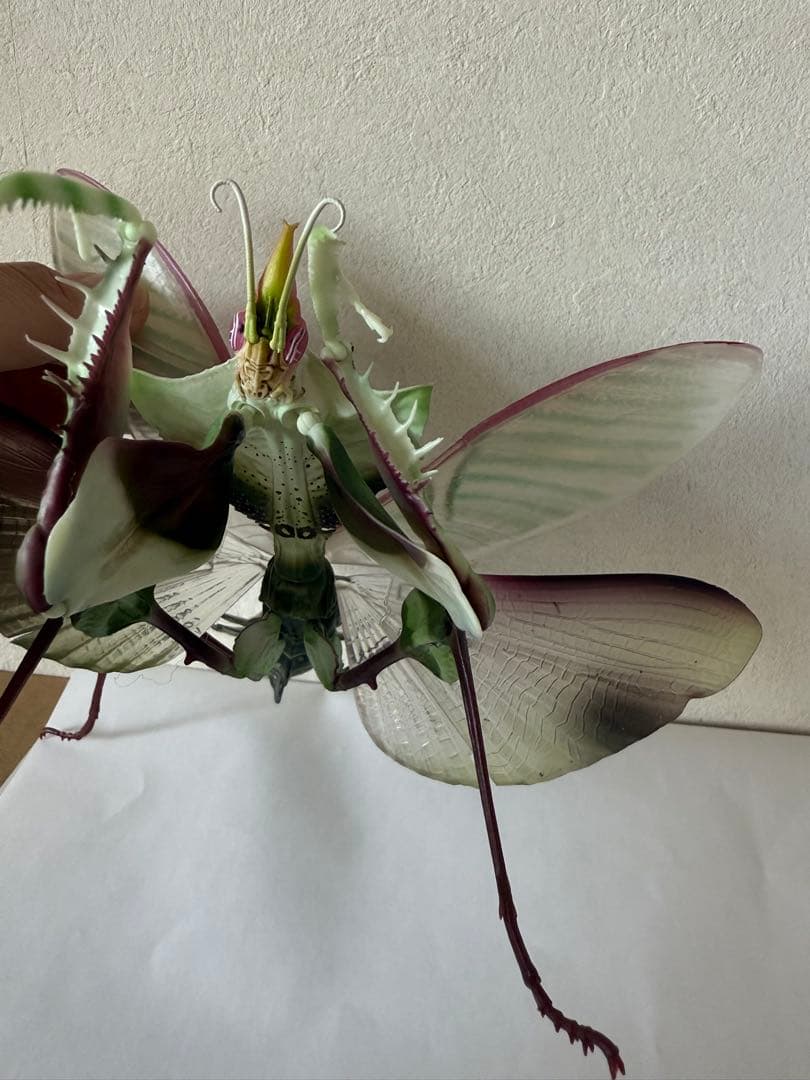 シ*ン様 いきもの大図鑑アドバンス　ニセハナマオウカマキリコンプリート