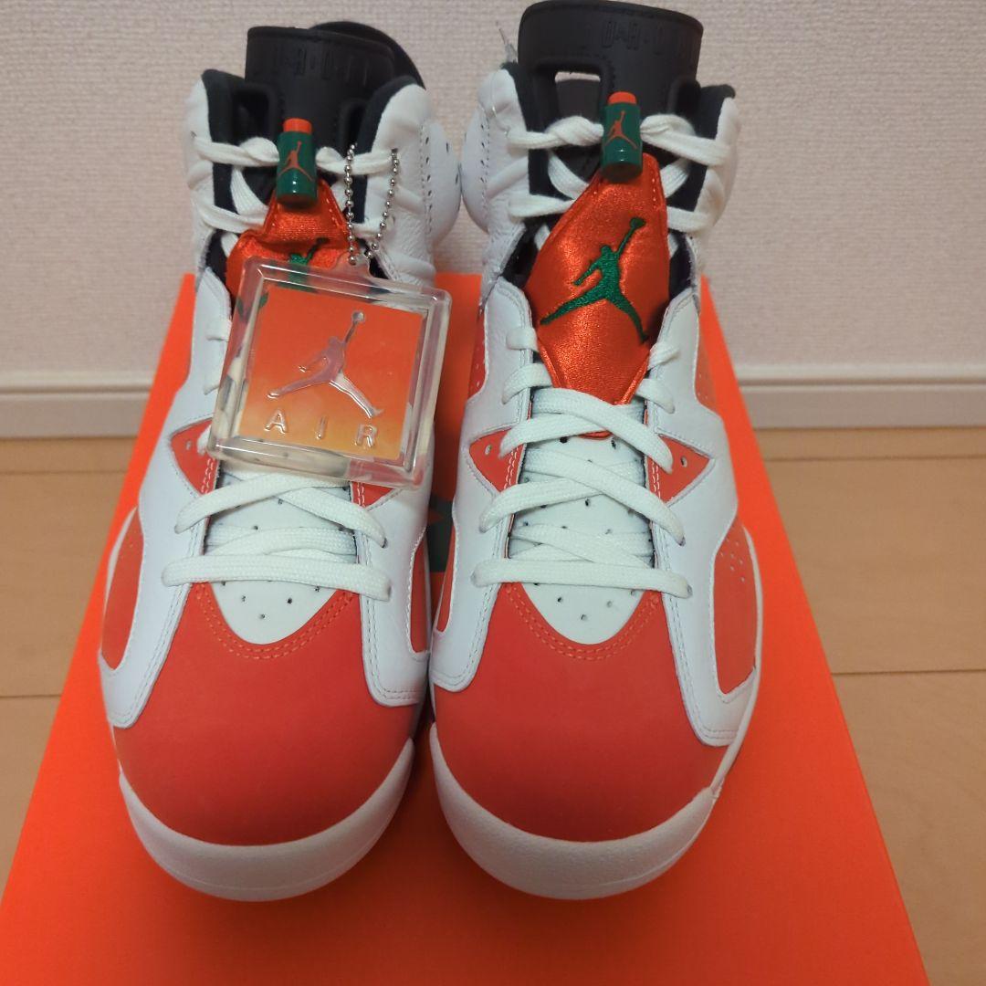 エアジョーダン6 ゲータレード