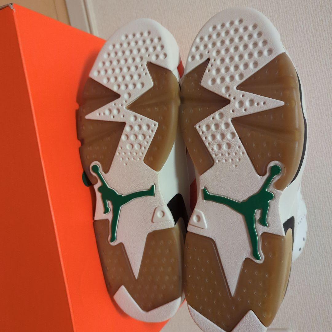 エアジョーダン6 ゲータレード