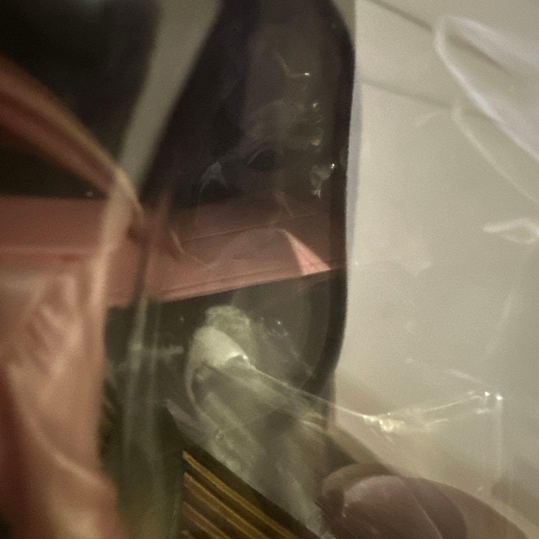 勇者王ガオガイガー　ルネ•カーディフ•獅子王　e-quip ver. フィギュア