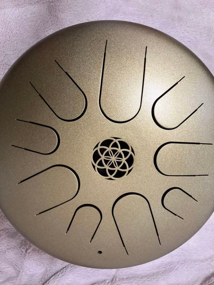 大幅値下げ【美品】レア ガンクドラム ソルフェジオ432hz シードオブライフ