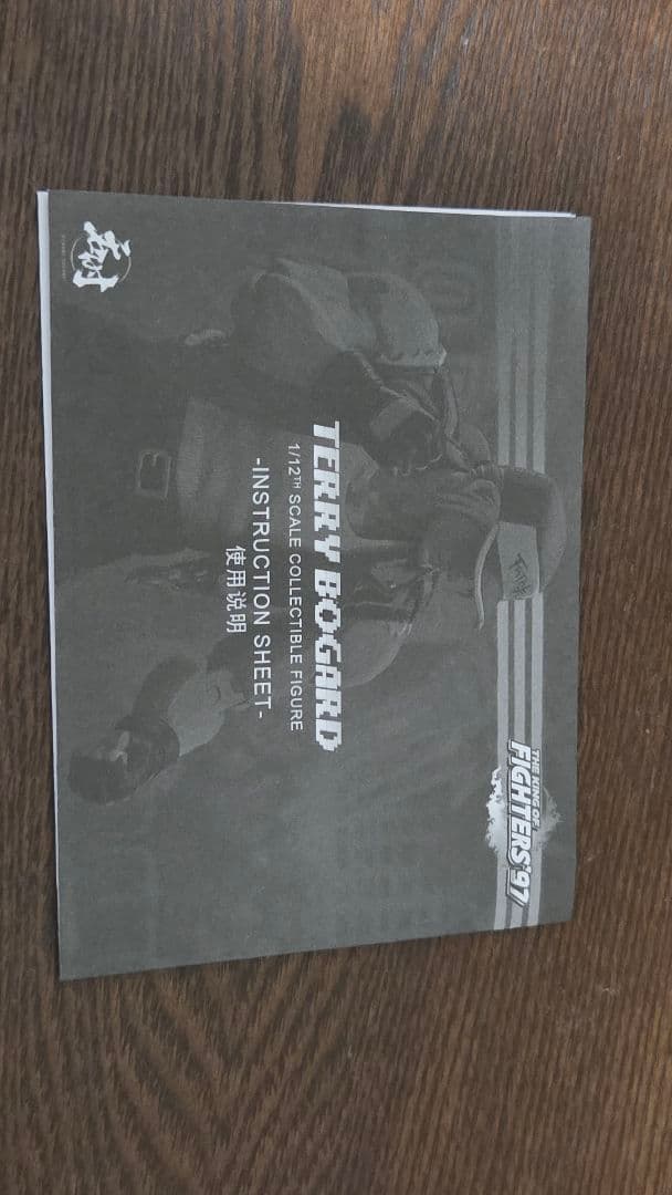 TUNSHI STUDIO　テリーボガード 1/12