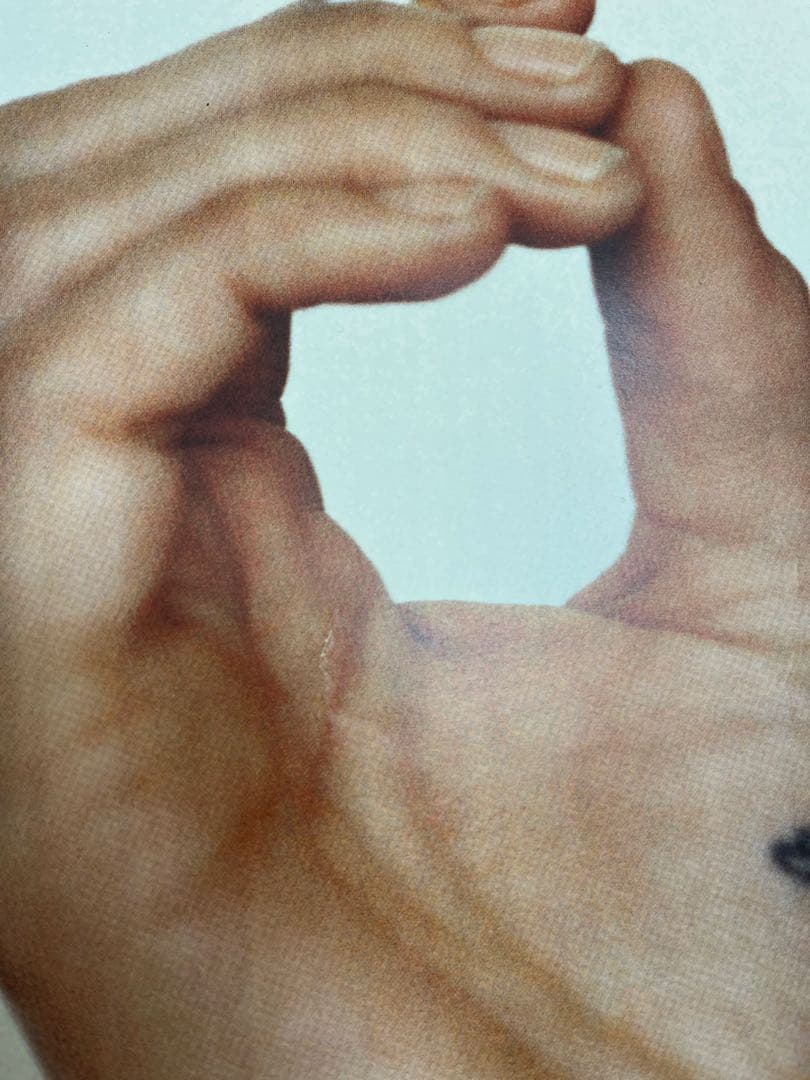 Supreme ポスター ケイトモス　レオパード柄　フレーム無し