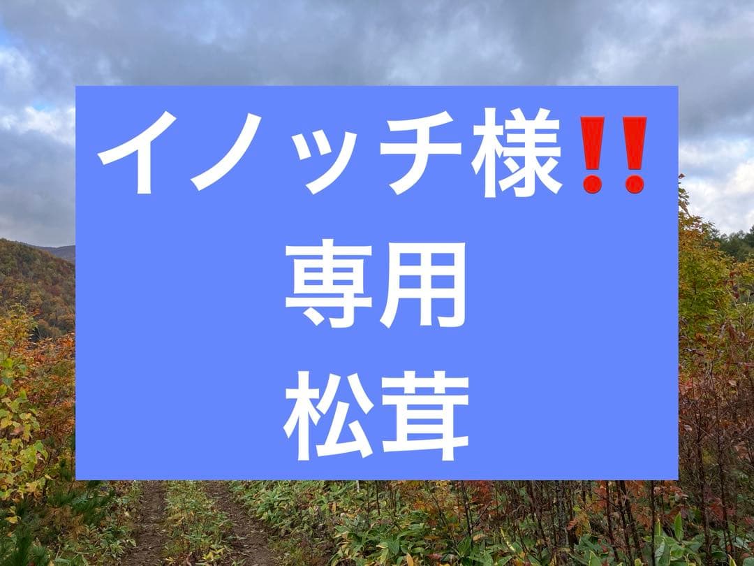イノッチ様‼️専用　松茸