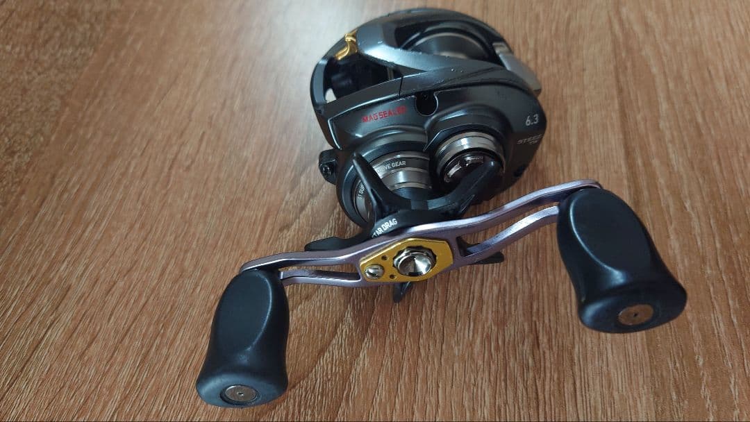 ダイワ スティーズA TW 左巻