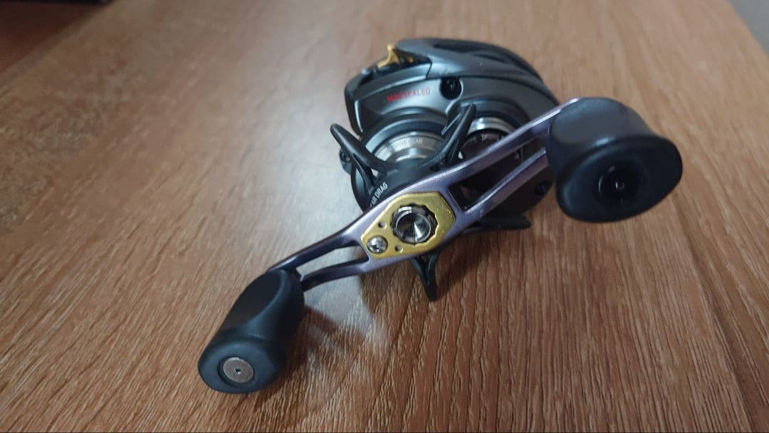 ダイワ スティーズA TW 左巻