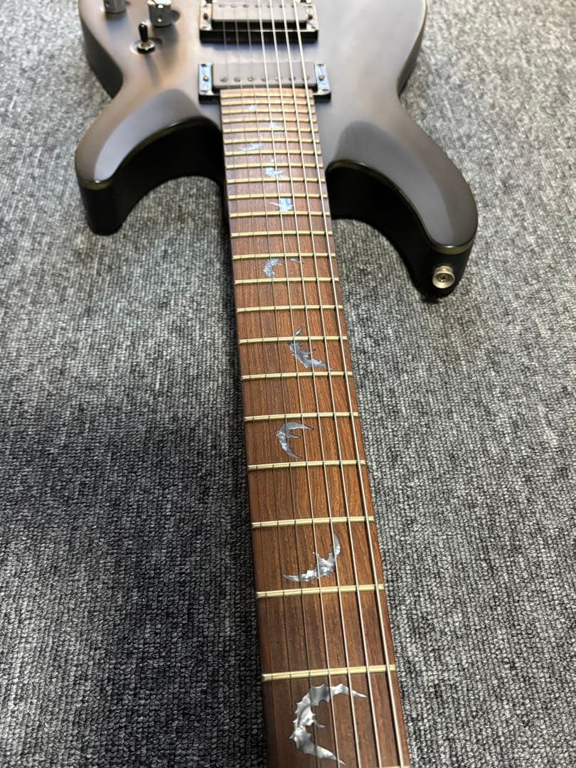 Schecter Diamond Series Damien 7弦