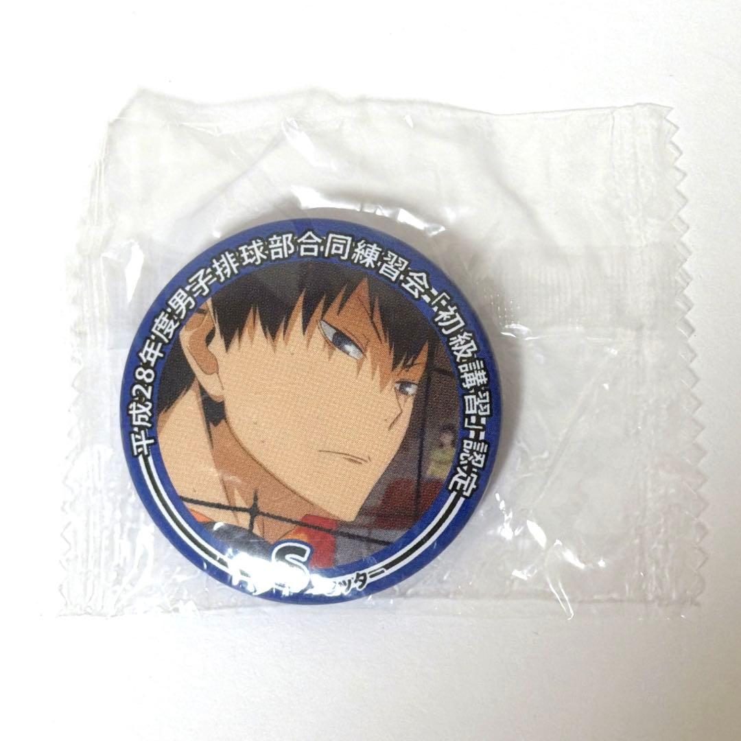 ハイキュー！！影山 飛雄　缶バッジ、アクキー、ラバストなど21点(写真2枚あり)