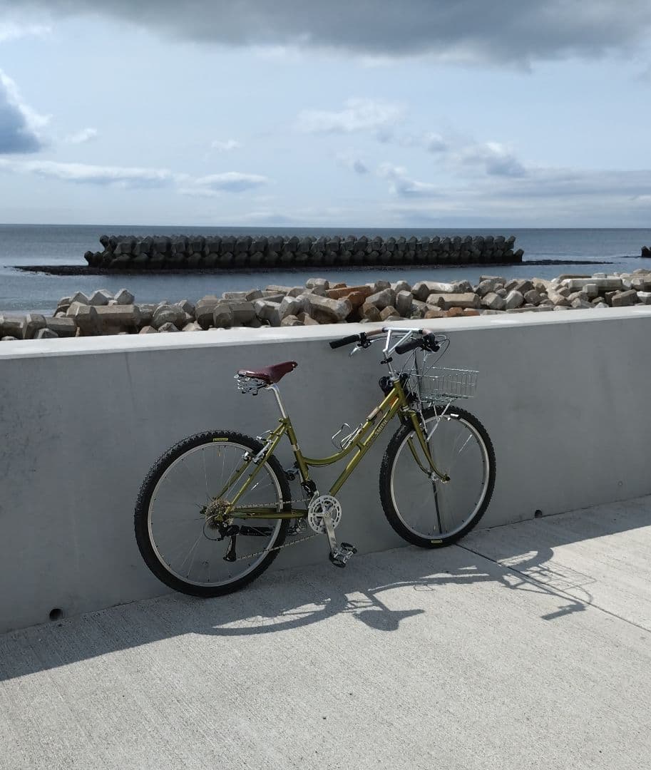 自転車本体 RIVENDELL clem smith jr.SIZE : 45 (27.5)