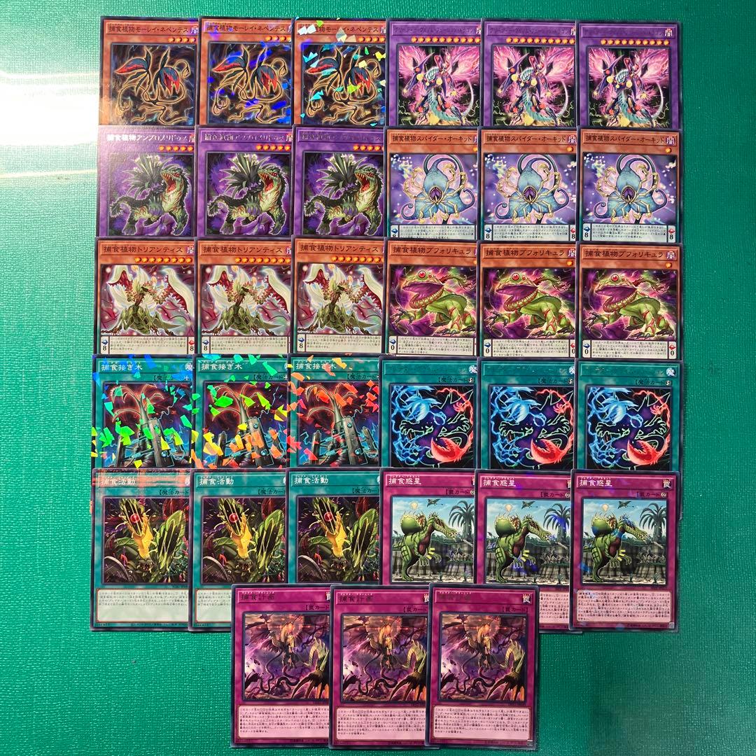 遊戯王 プレデタープランツセット⑤