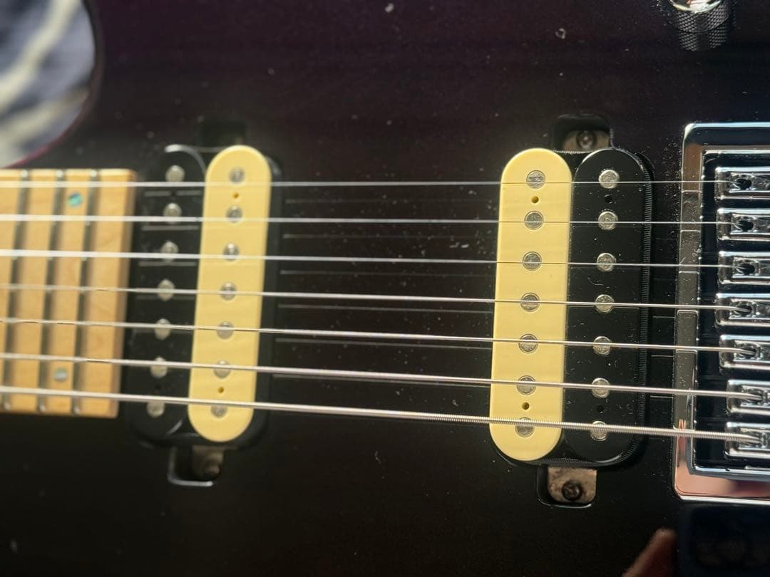 【美品】Alien Soundworks Solarian 7【生産完了品】