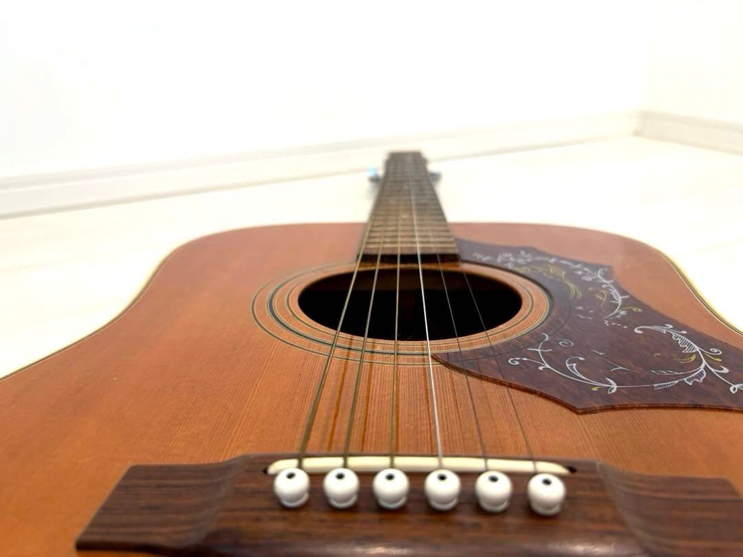 roje メイプル　ハミングバード　アコースティックギター　アコギ