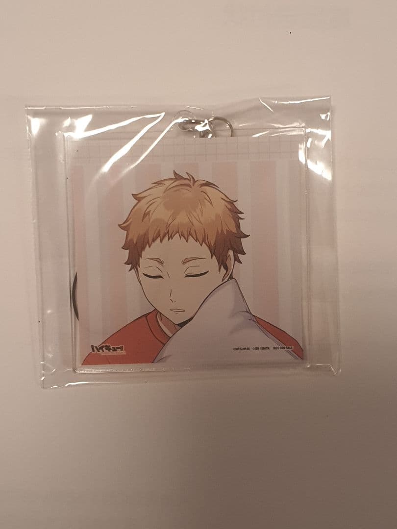 ハイドリ アクリルキーホルダー 夜久衛輔