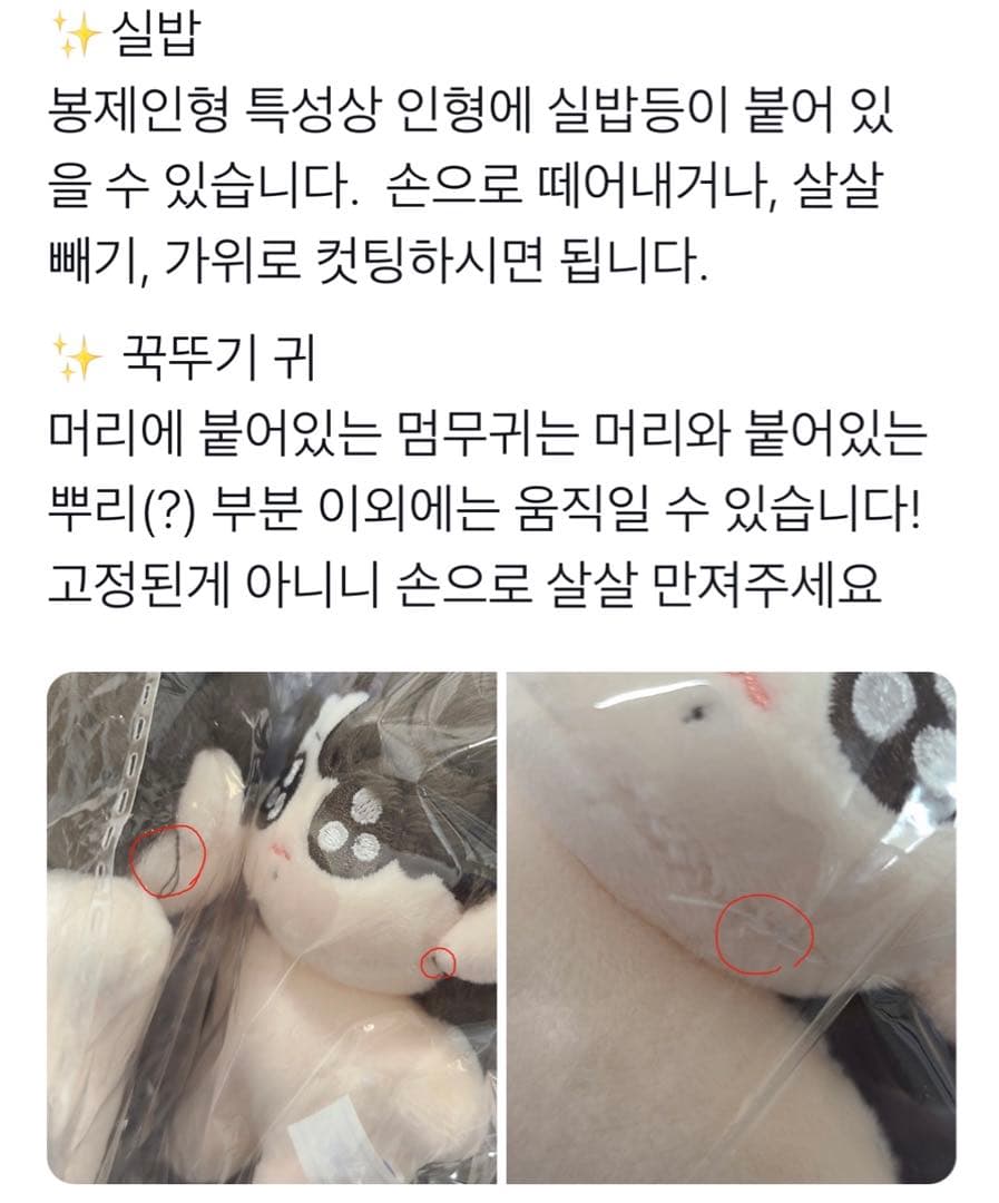 BTS ジョングク 10cm 7cm ジョングク犬ぬい フォトカードケース