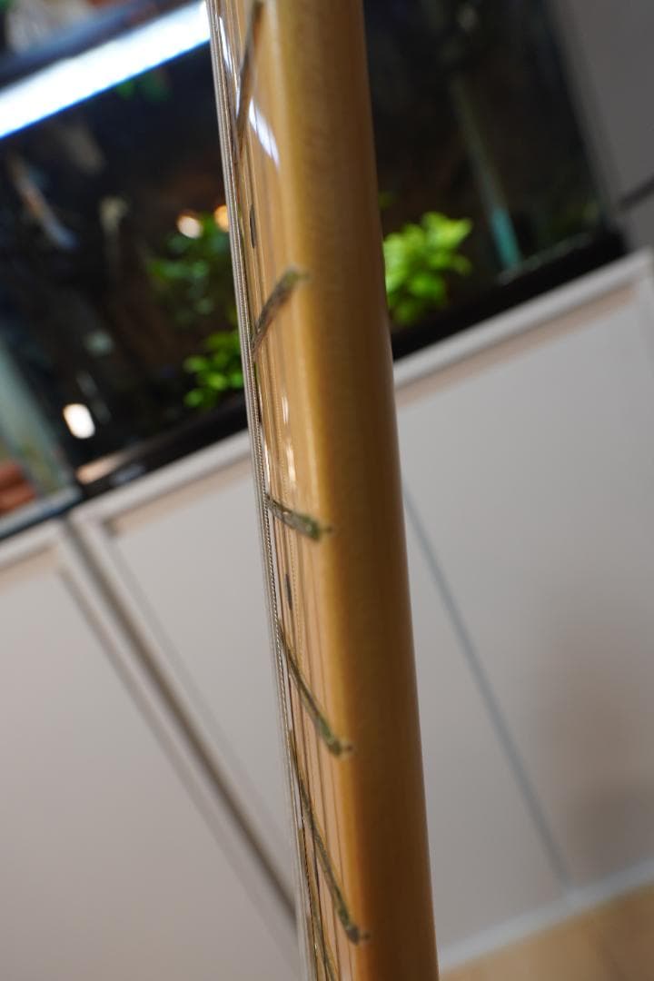 ギター Fender Player Telecaster