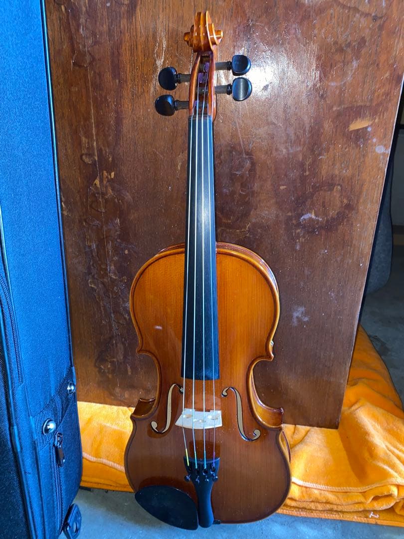 Pygmalius ピグマリウス バイオリン ST-02