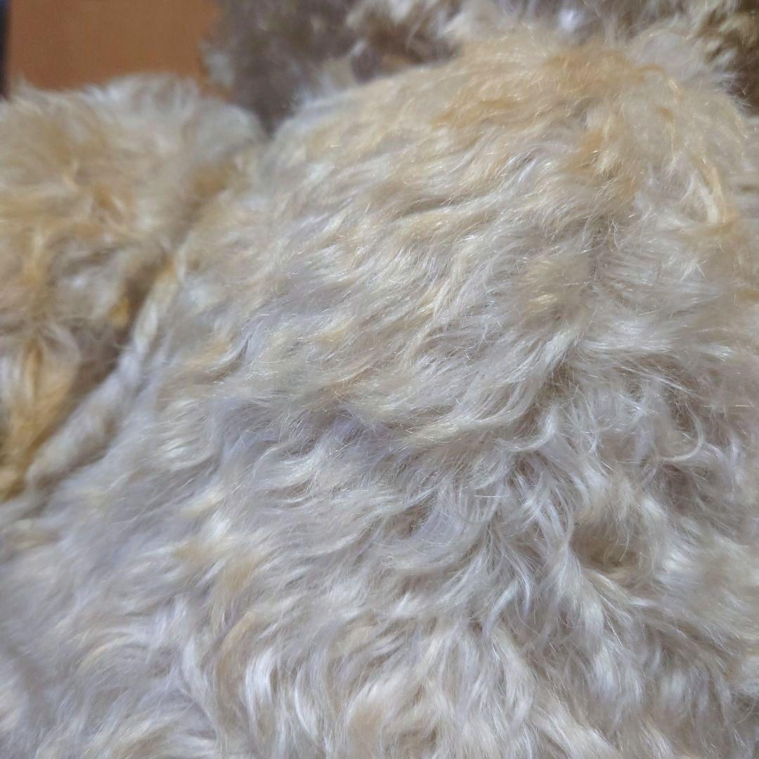 シュタイフ　テディベア