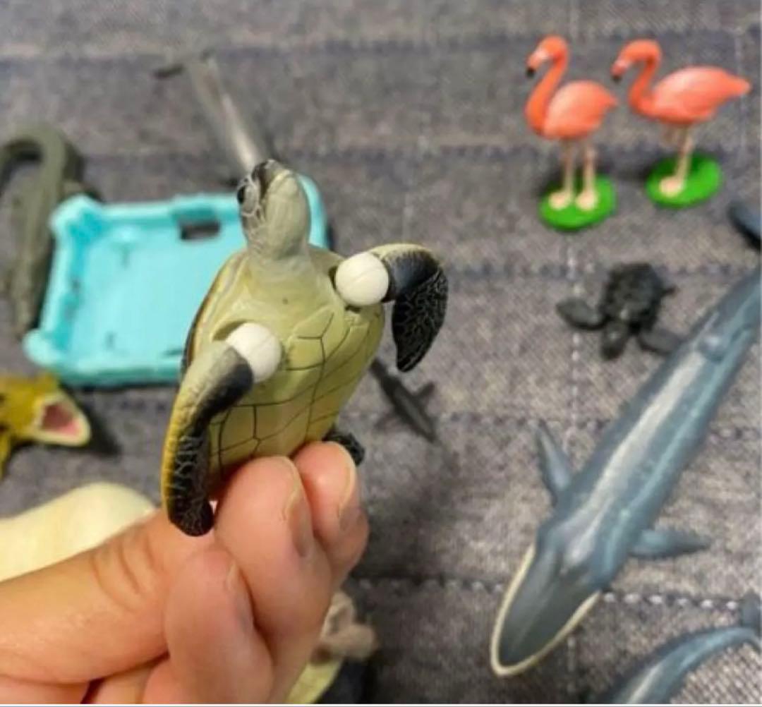 【クジラアイランド】【アニア】【廃盤品】【まとめ売り】追加あり