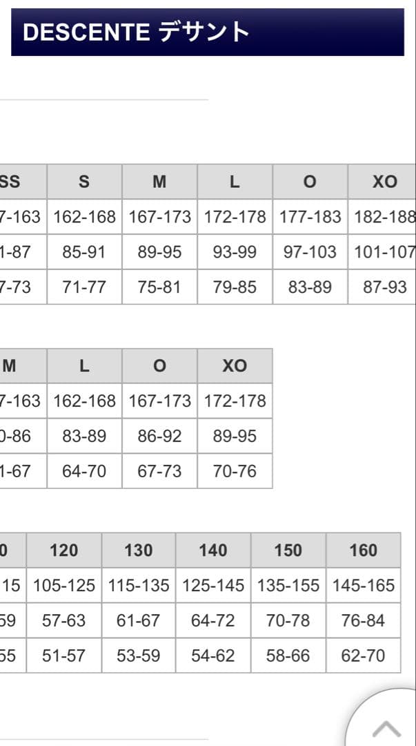 スキーウェア　DESCENTE 上下セット