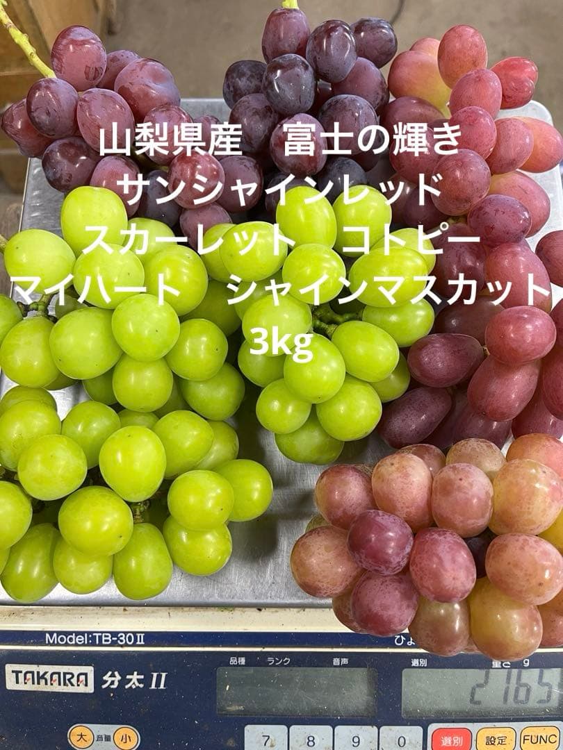 #3 富士の輝き　サンシャインレッド　マイハート　シャインマスカット 他3kg