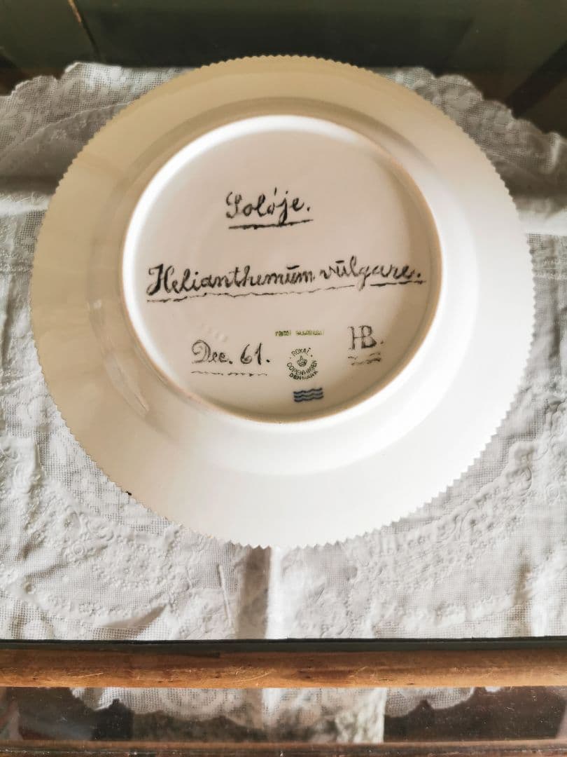 ロイヤルコペンハーゲン至宝φ25フローラダニカ 岩薔薇ヘリアンテム・ヌンムラリム