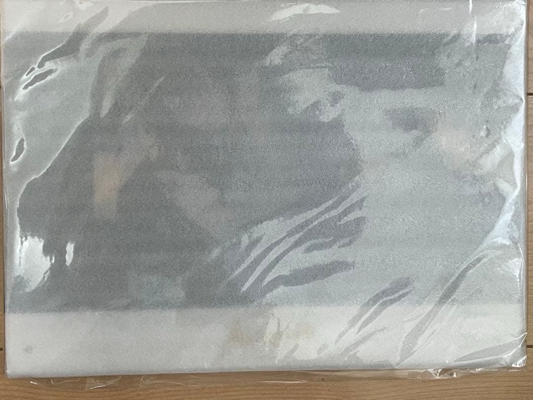 魔道祖師【藍忘機・魏無羨】ラジドラ購入特典アクリルパネル(公式茶屋版/3期前編)