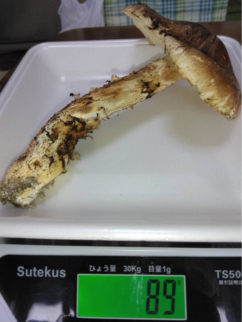 ビッグマミー(*´꒳`*) 　10月16日夕採れ 岩手県産　松茸