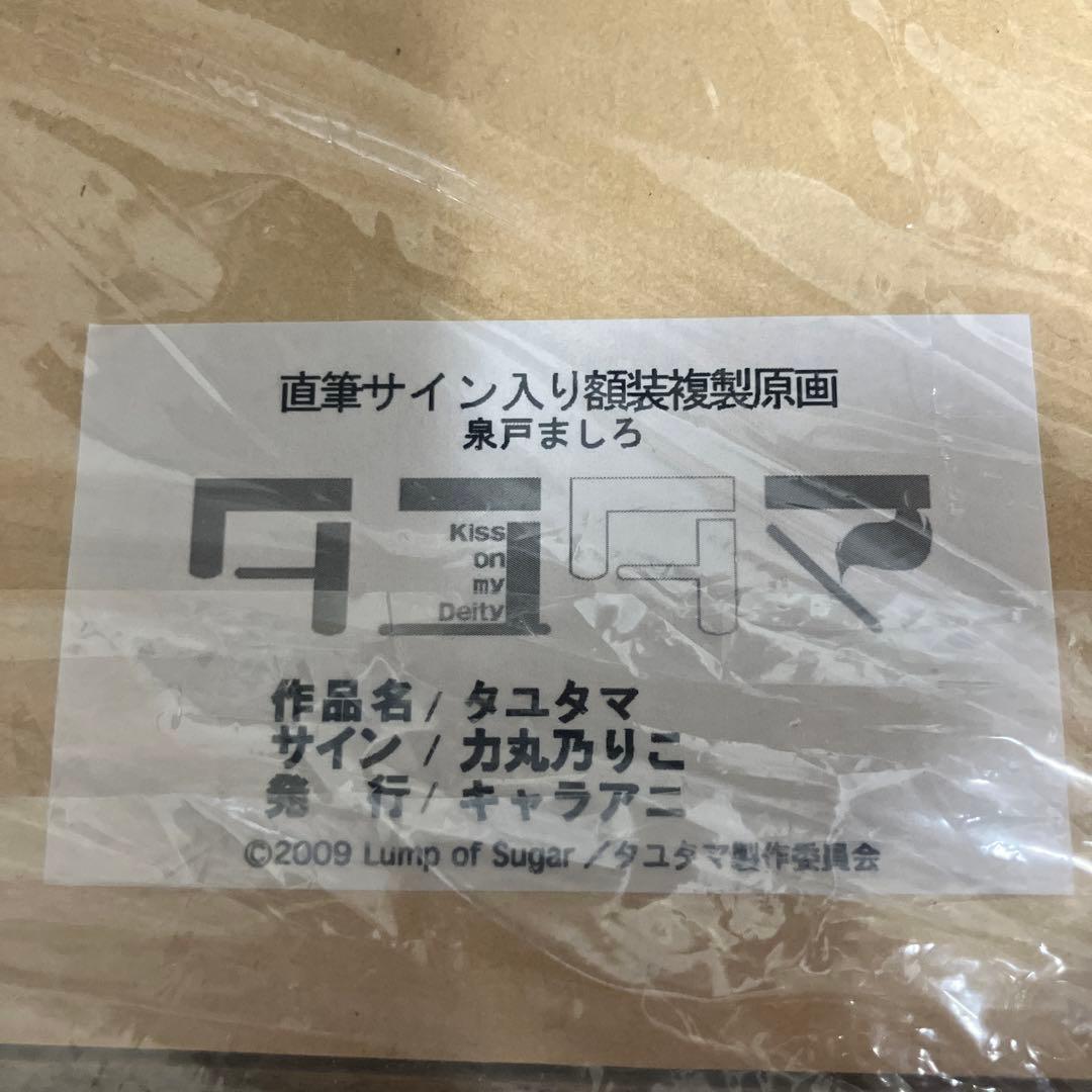 タユタマ 泉戸ましろ 直筆サイン入り 額装 複製原画 力丸乃りこ キャラアニ