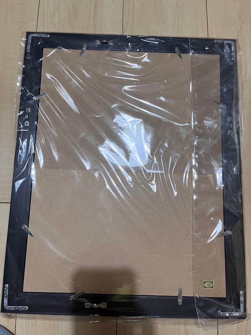 四月は君の嘘 描き下ろしイラスト額装 宮園 かをり キャラファイングラフ