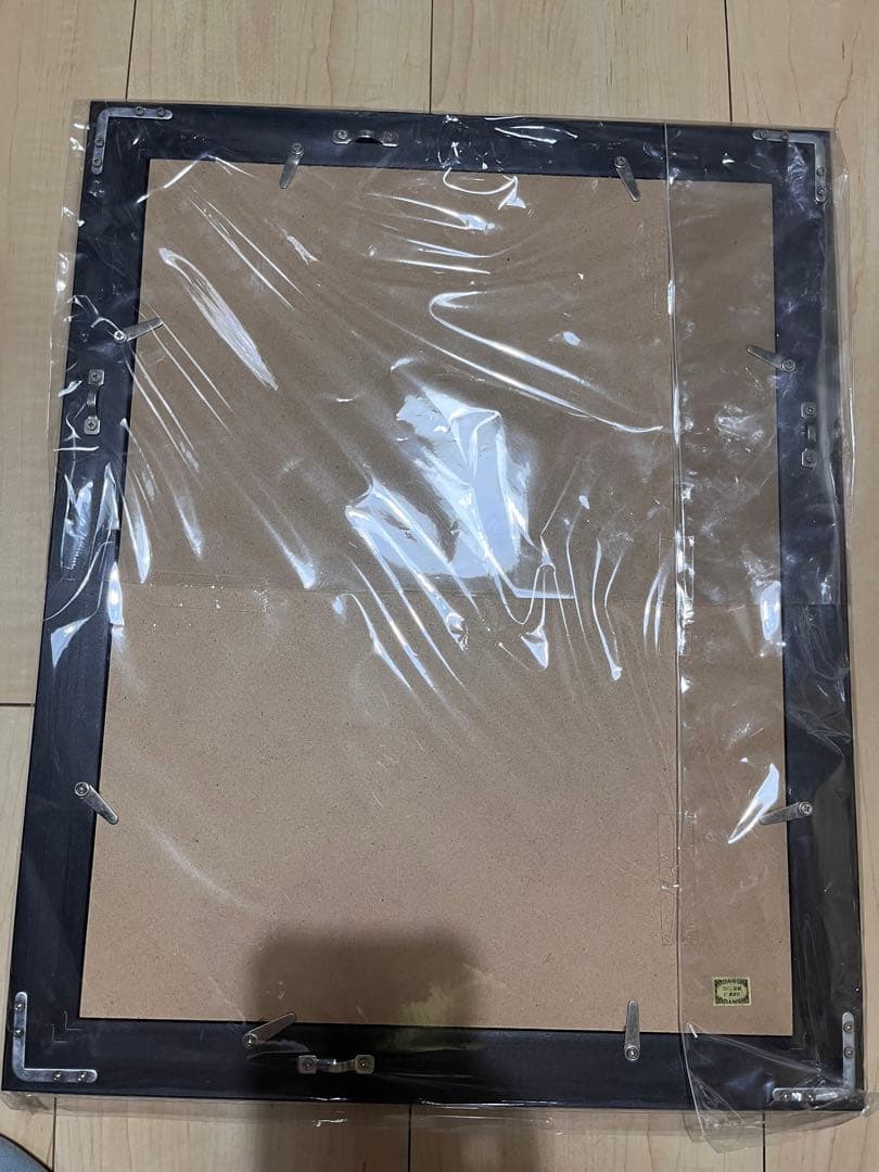 四月は君の嘘 描き下ろしイラスト額装 宮園 かをり キャラファイングラフ