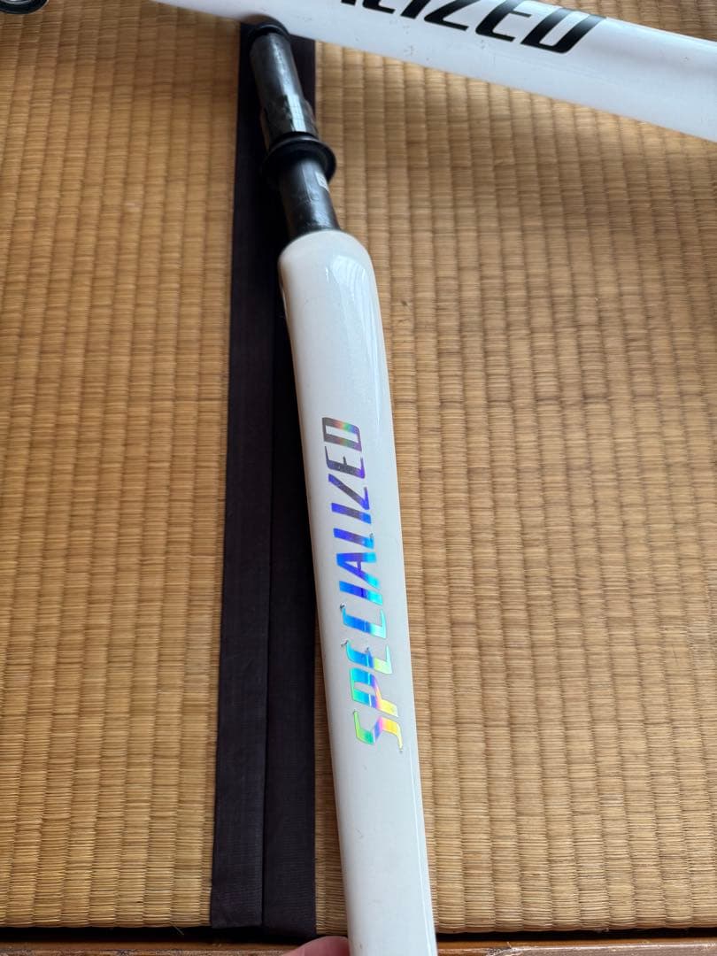 スペシャライズド　2019ターマック　メン　コンプ　フレーム49