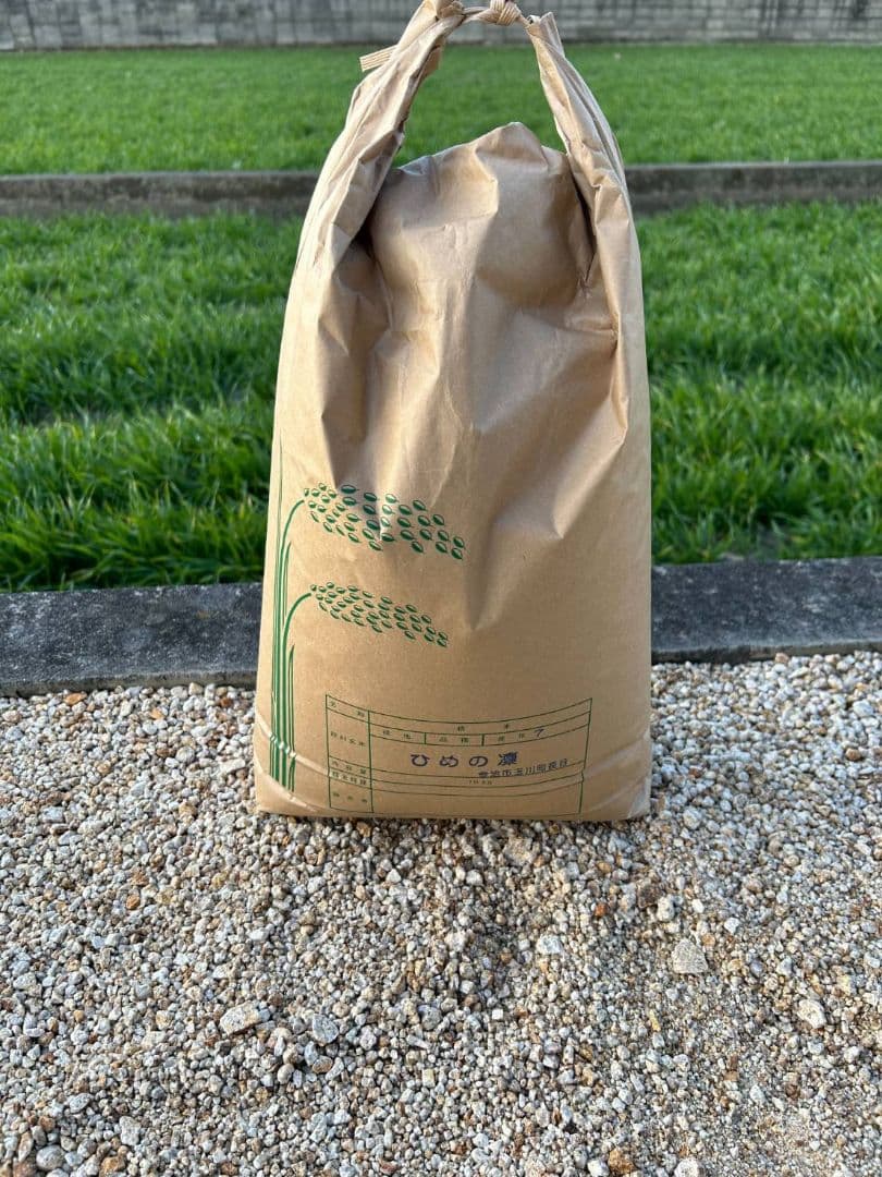 令和7年度　今治産ひめの凛 10kg　玄米