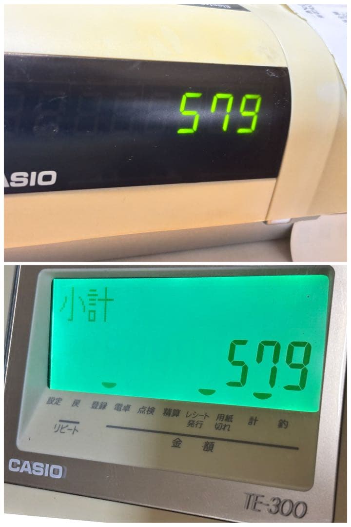 レジスター TE-300 DL-1217 カシオ