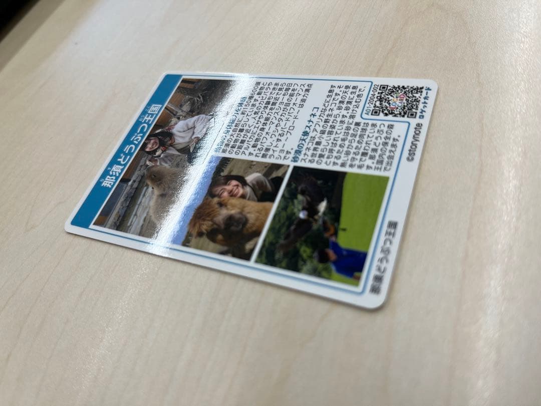ロゲットカード　スナネコ　那須どうぶつ王国　栃木県那須