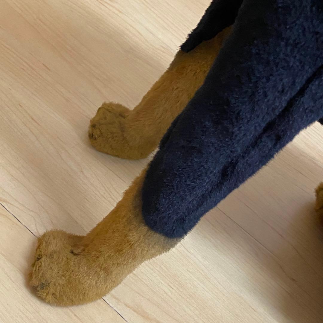 ジョックライン　イタリア製　特大 ドーベルマン　座り　ビッグサイズ　no.10