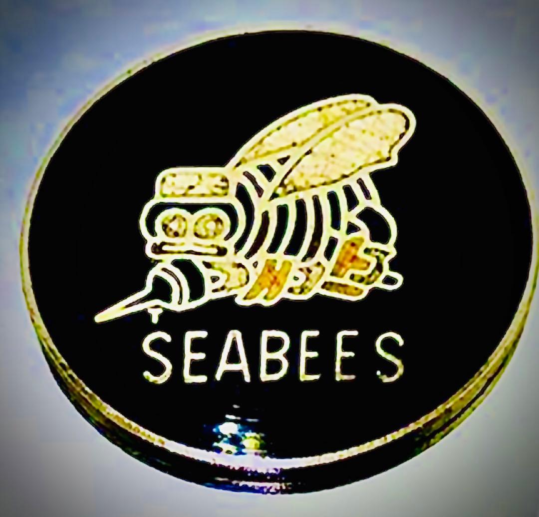 シービーズ☆米海軍特殊工作部隊☆US.NAVY☆EABEES ☆エナメル七宝製