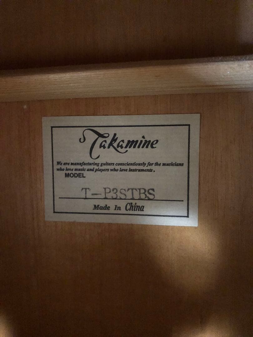 Takamine T-P3STBS アコースティックギター