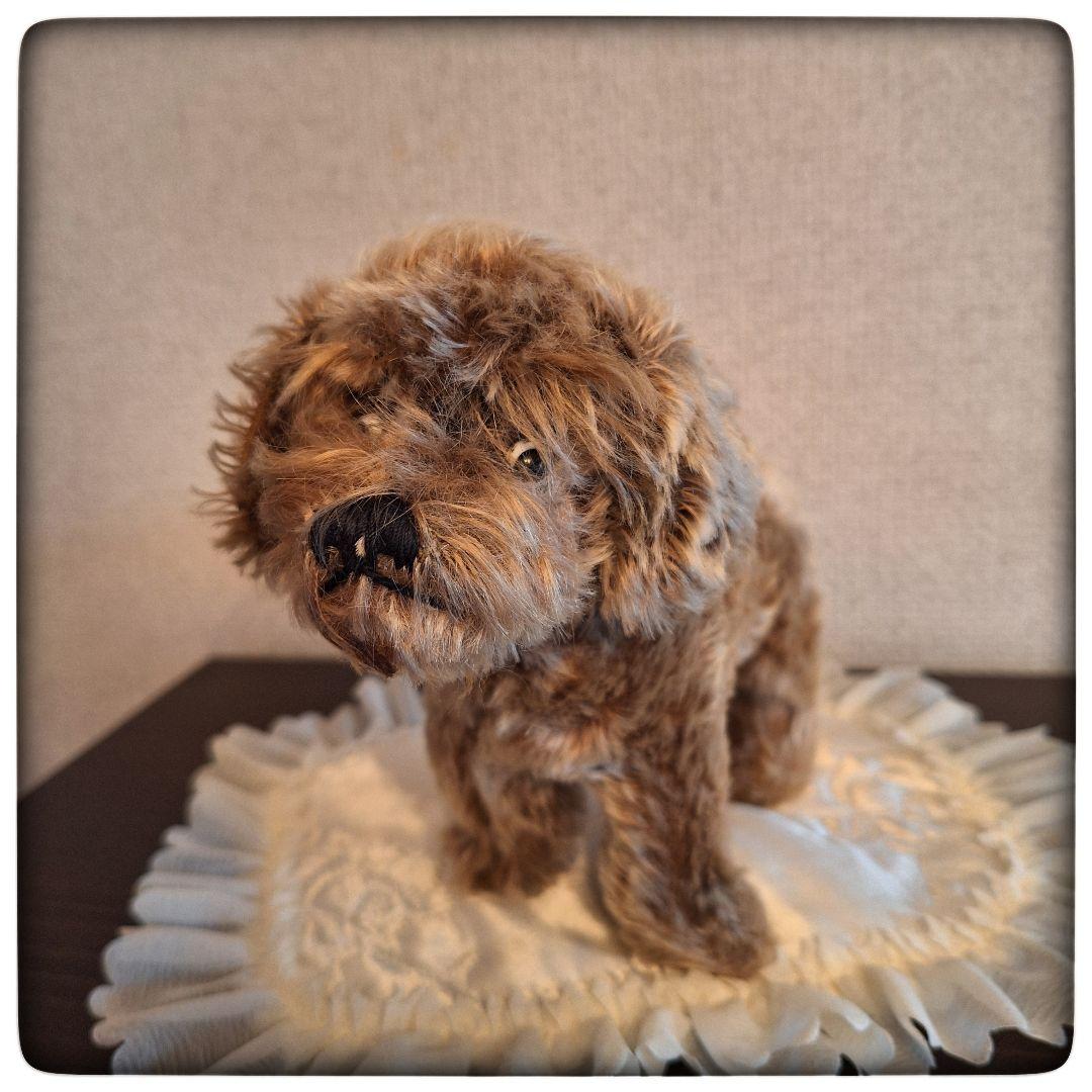 【ワイヤーヘアードダックスフント Raudi ラウディ】ヴィンテージ シュタイフ