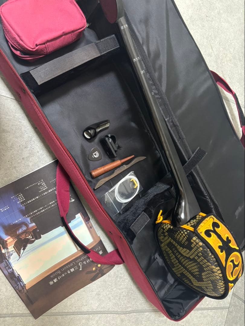 沖縄三線　弦楽器　ケース付き　おまけ付き
