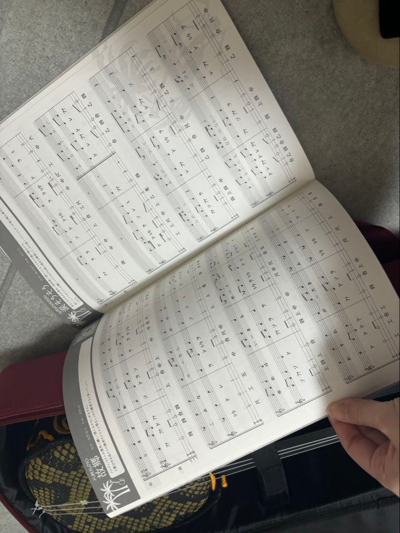 沖縄三線　弦楽器　ケース付き　おまけ付き